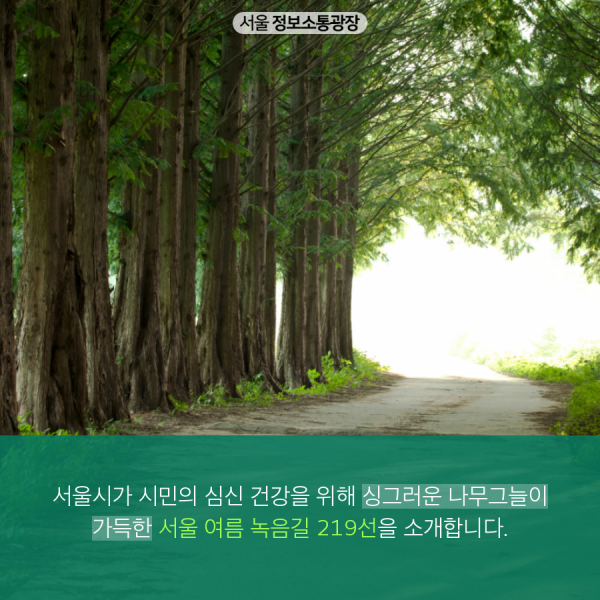 서울시가 시민의 심신 건강을 위해 싱그러운 나무그늘이 가득한 서울 여름 녹음길 219선을 소개합니다.