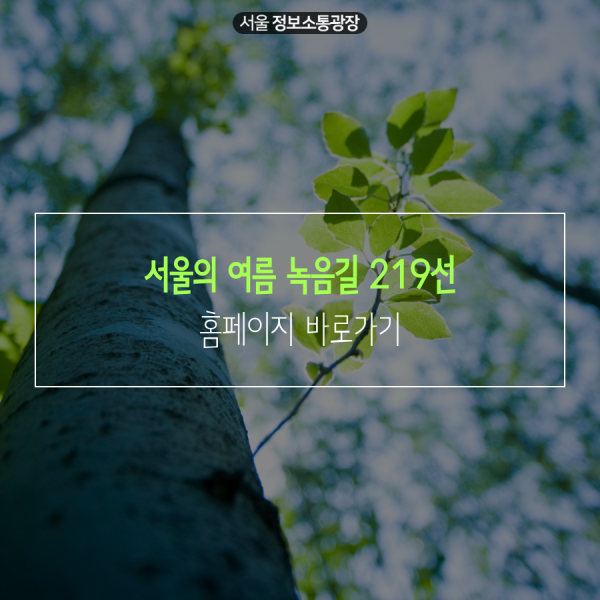 서울의 여름 녹음길 219선 홈페이지 바로가기